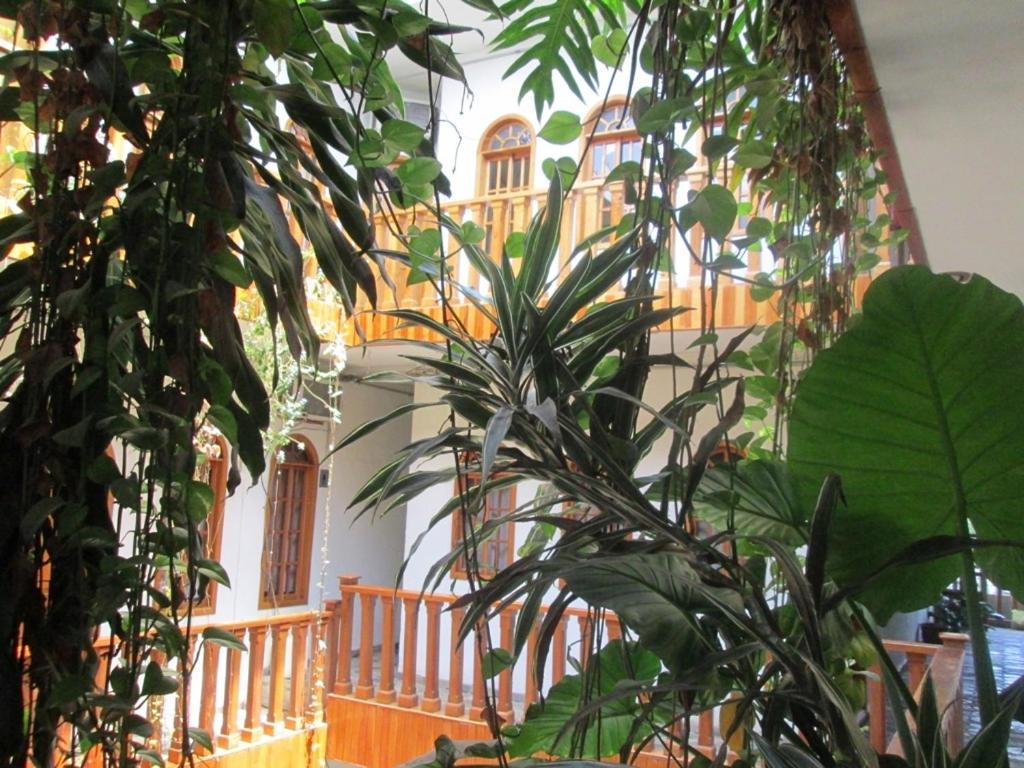Hotel Guzman Ксилитла Екстериор снимка