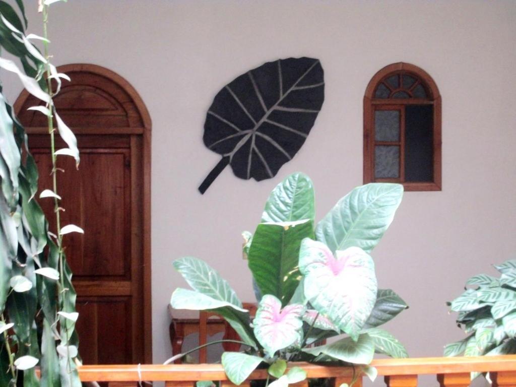 Hotel Guzman Ксилитла Екстериор снимка