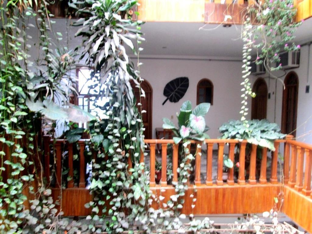 Hotel Guzman Ксилитла Екстериор снимка